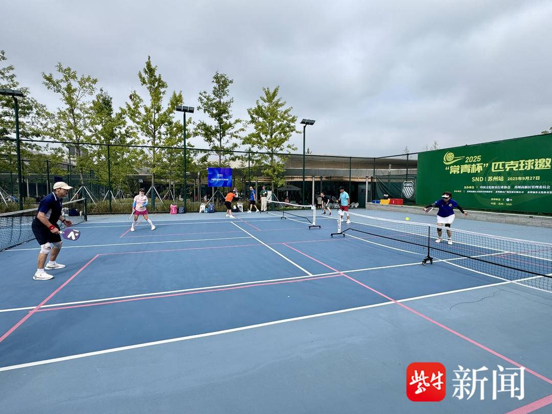 好的匹克球 好的匹克球